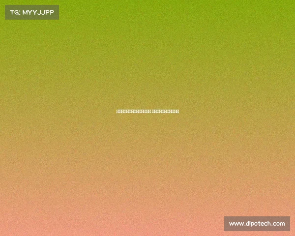 美职女篮季后赛席位争夺白热化 火花与梦想上演激烈对决